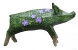 Hedge Hog